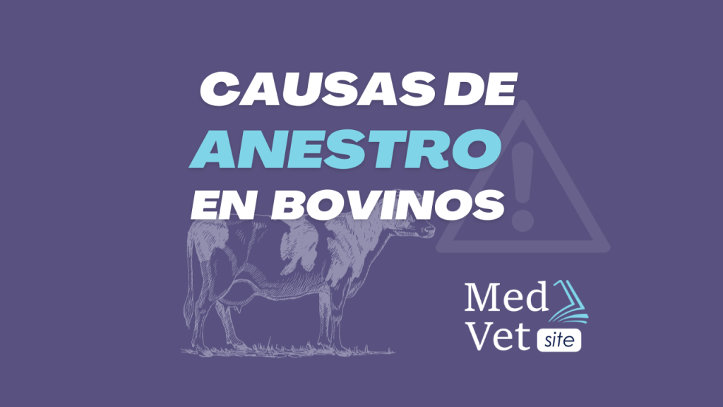 anestro en vacas