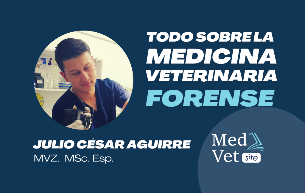 Medicina veterinaria forense