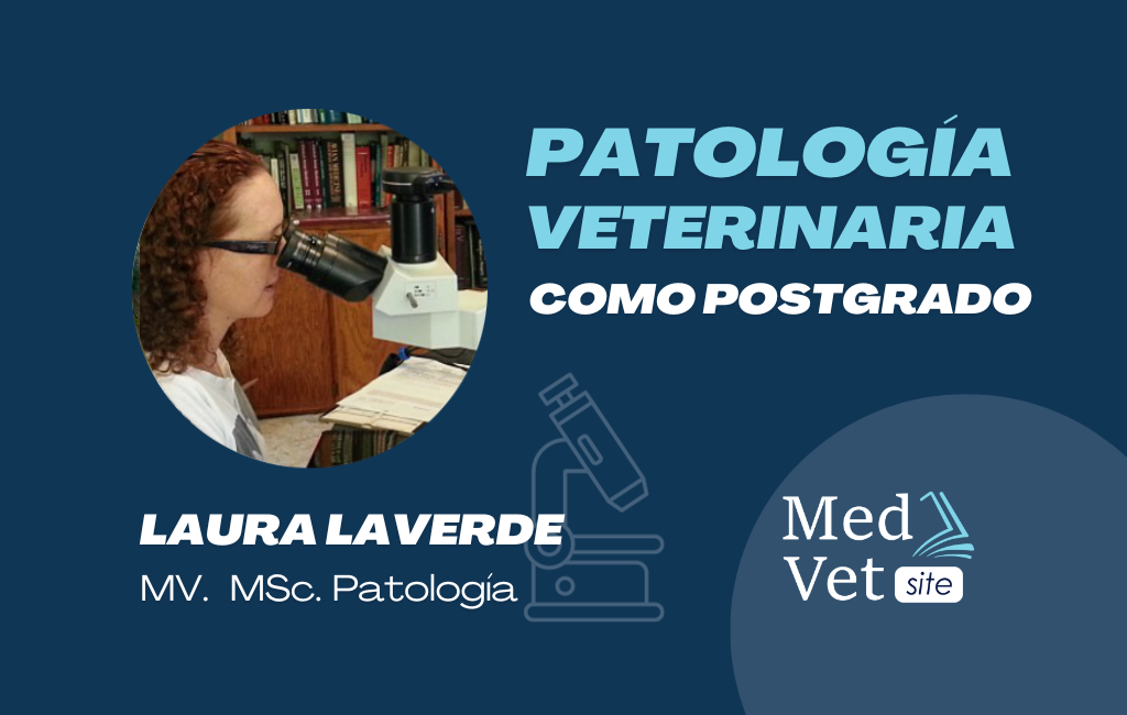 Patología veterinaria