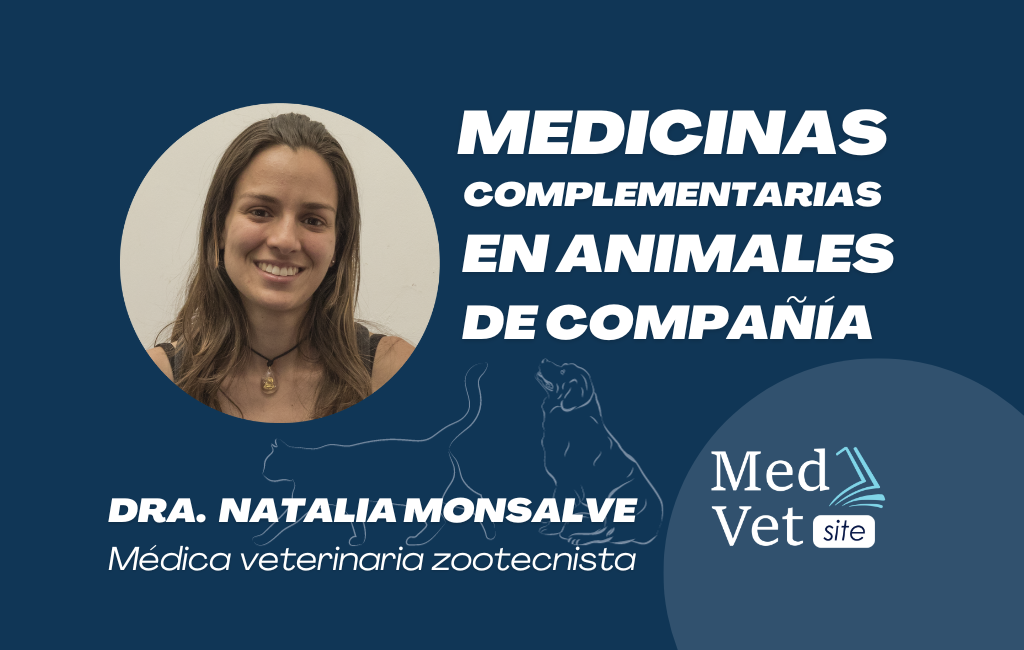 Medicinas complementarias en mascotas