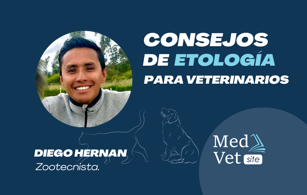 Etotología en mascotas