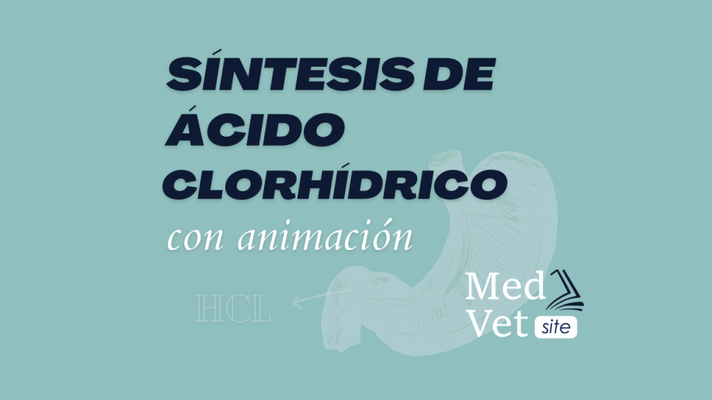 Sintesis de ácido clorhídrico