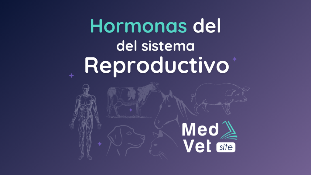 Hormonas reproductivas