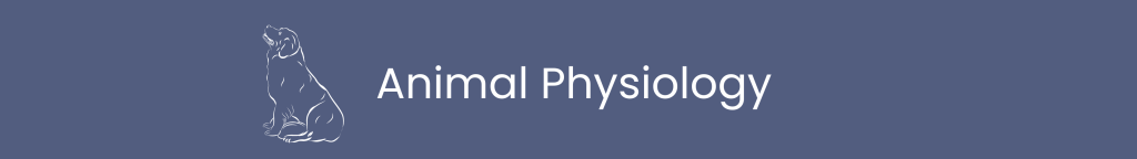 Animal Physiology