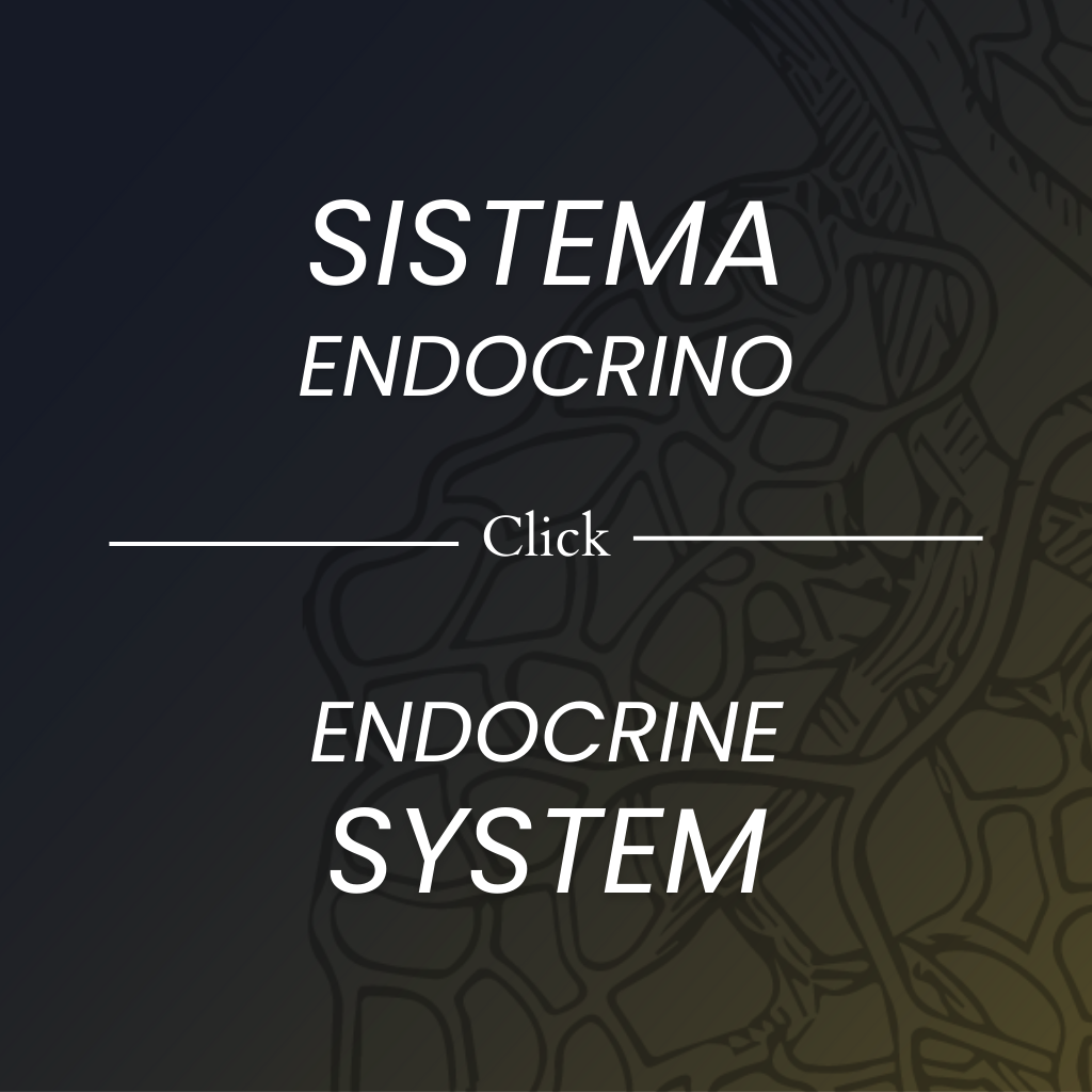 Fisología del sistema endocrino