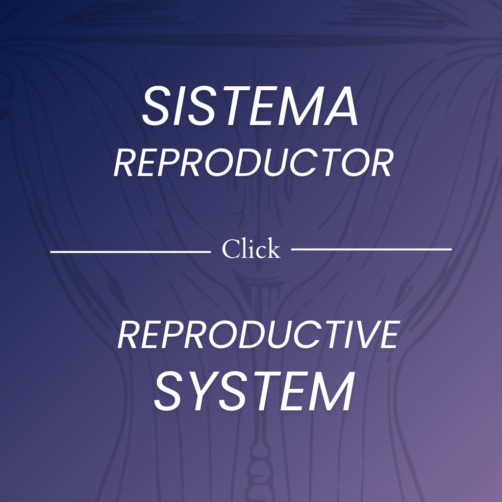 Fisiología del sistema reproductor