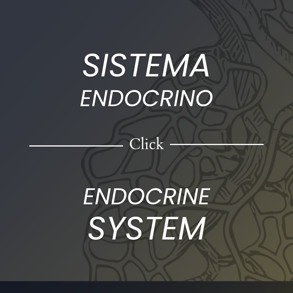 Fisología del sistema endocrino